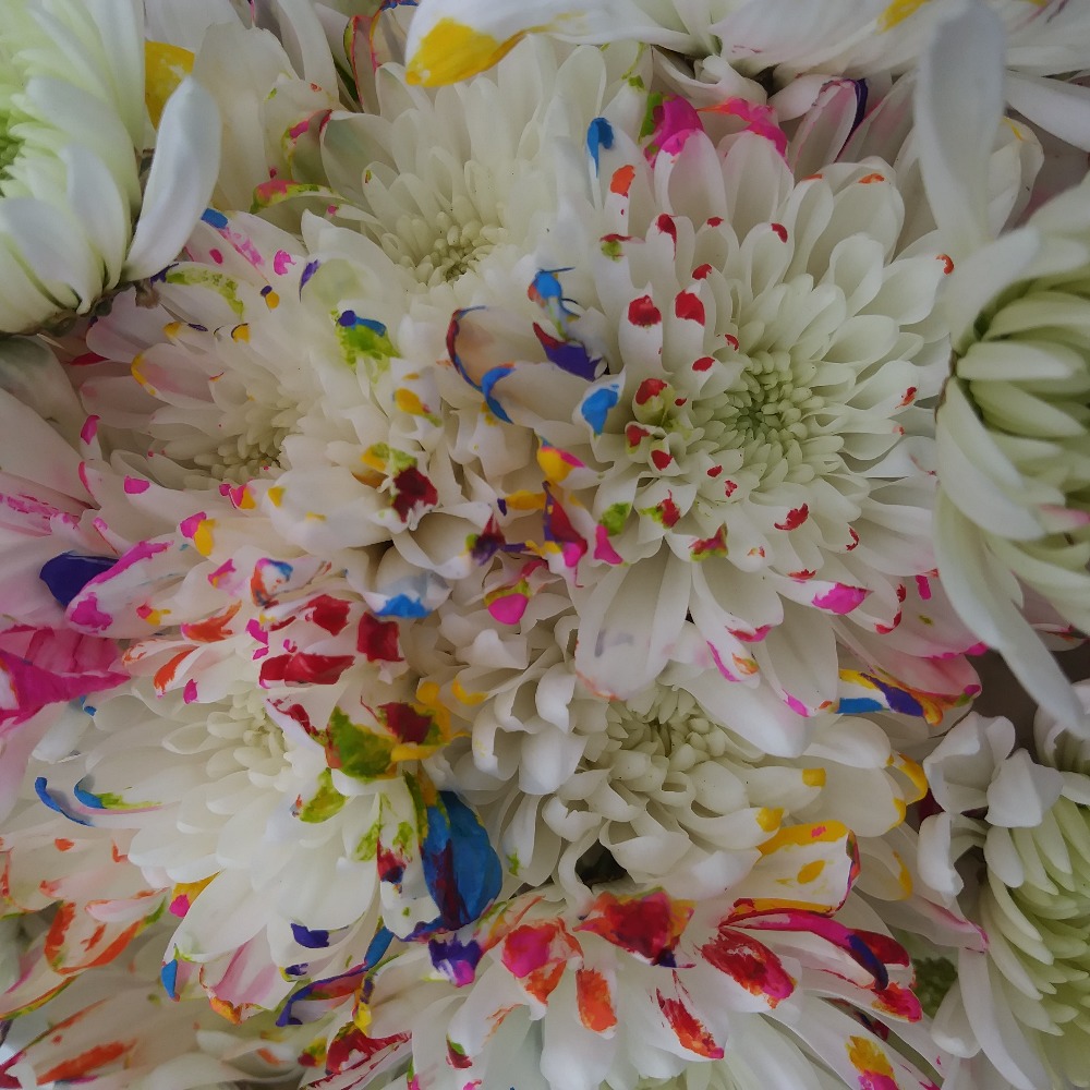 Meet your Posher, Cassy's Closet